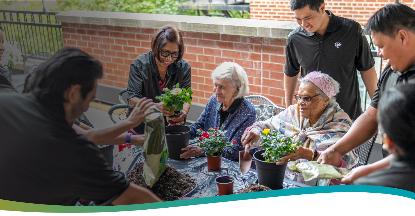 Staff and residents enjoying a gardening activity, repotting miniature roses at Atrium Retirement.
